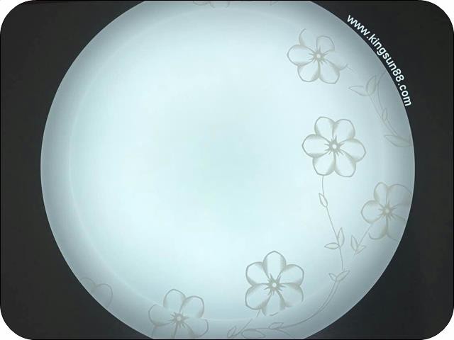 Ronde LED-plafondlamp