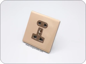 2 & 3-pins universele socket